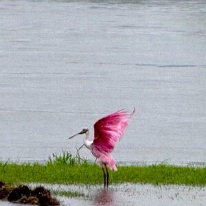 Welcome to My Closet